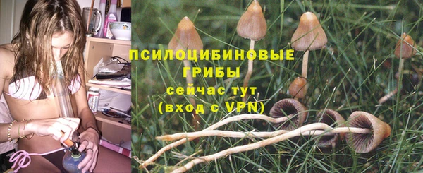 мескалин Надым