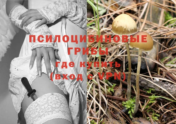 мескалин Надым