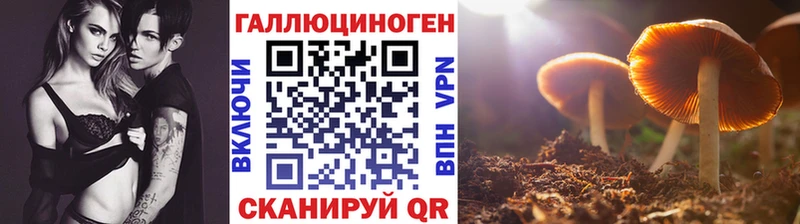 Галлюциногенные грибы Magic Shrooms  Дербент 