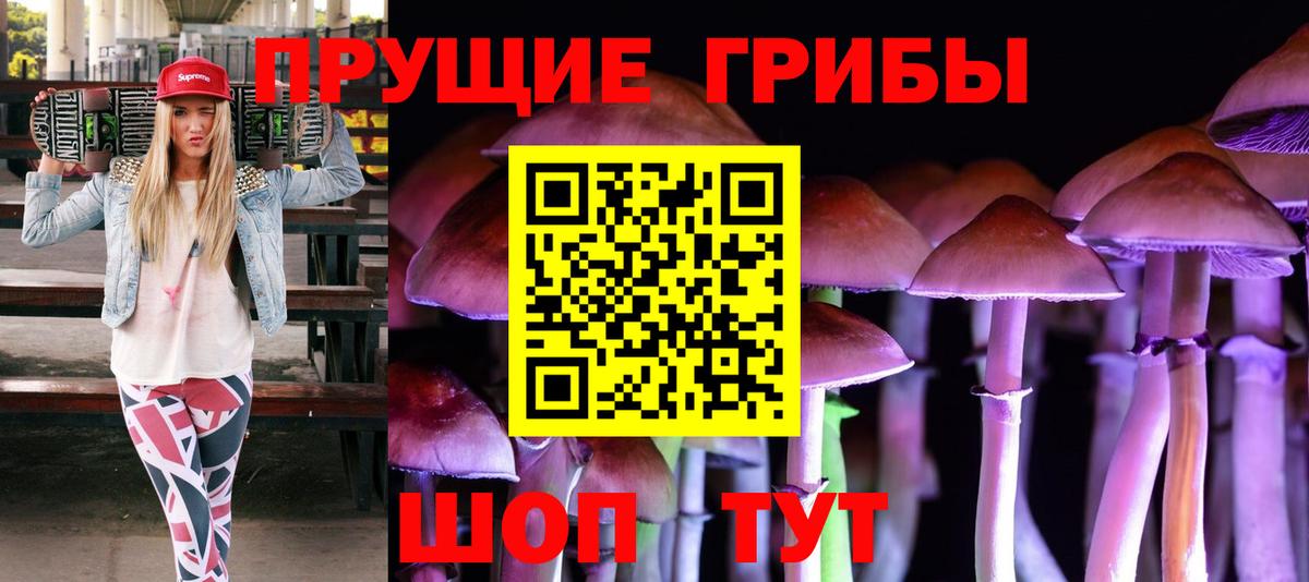 Дербент  Галлюциногенные грибы Cubensis  Вход с VPN 